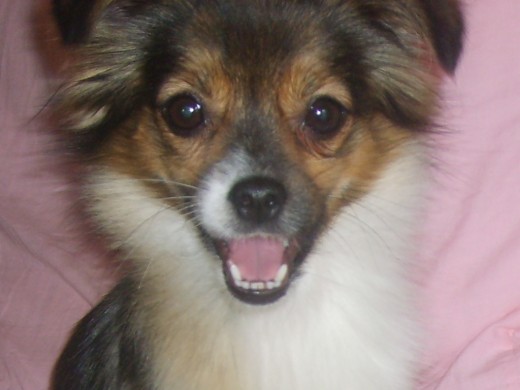 mi pequeña y dulce clo!!!!